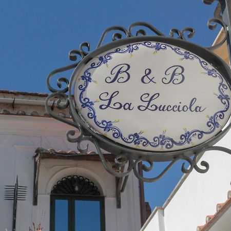 La Lucciola Apartment Амалфи Екстериор снимка